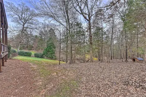 Heavily Wooded Lot
