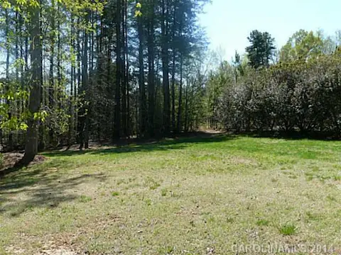 Yard/Garden