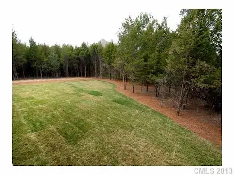Yard/Garden