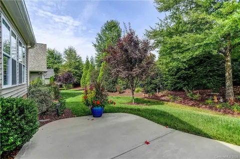 Wooded lot