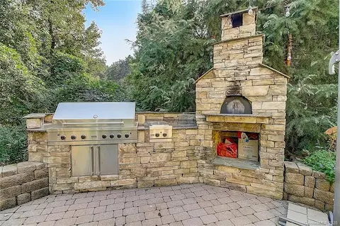 Viking gas grill & pizza oven!