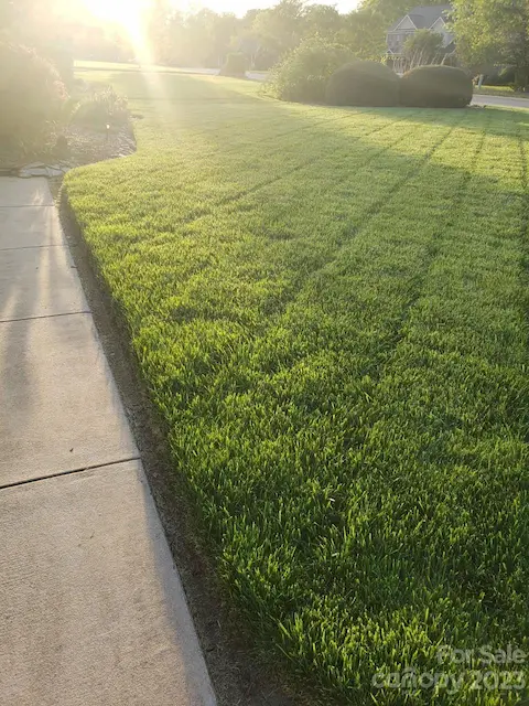 Lush grass front and back.