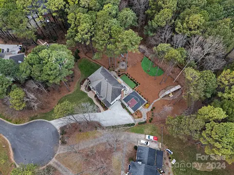 View from Above