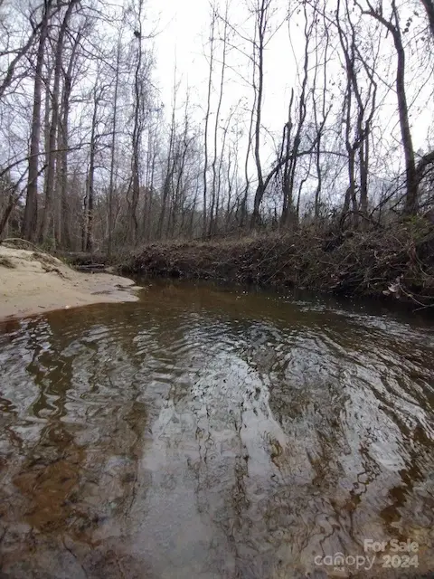 Creek on the rear of the property