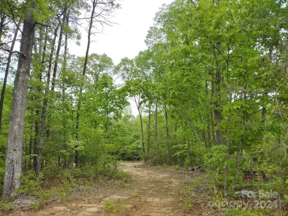 4218 henry dellinger Road, Maiden, NC