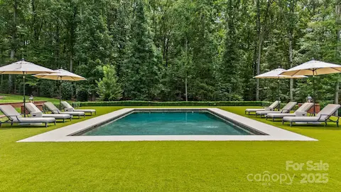 Saltwater Pool with Turf Surround