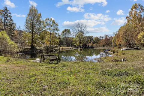 Pond