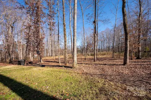 Semi-cleared backyard