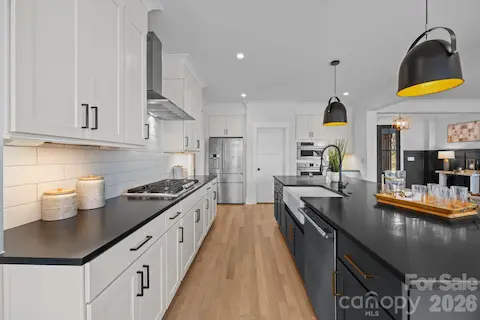Modern but classic entertainer's kitchen