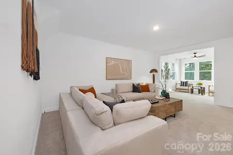 Basement Recreation