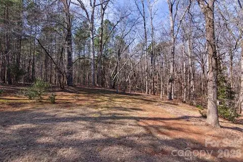 View of backyard/trees and adjoining treed common area of this beautiful community continuing behind other brick homes of Hidden Forest.  (Rear lot fencing allowed with HOA approval.)