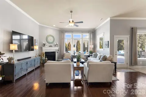 Look at the view and all of the natural light