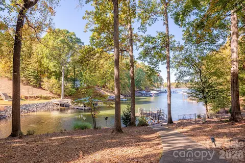 Views of lake from ground level