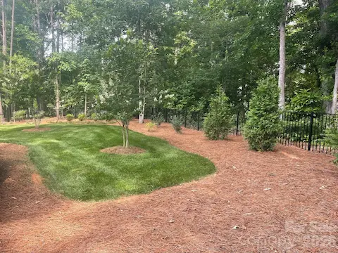 Natural Mature Woods for Privacy.