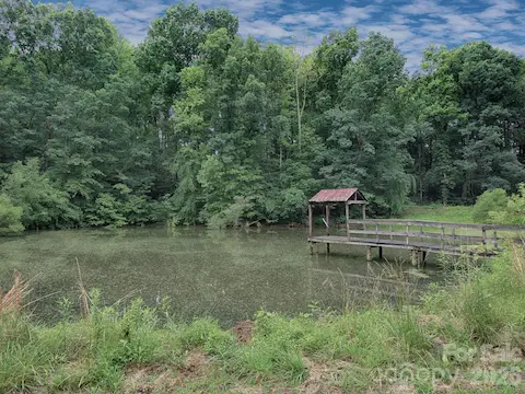 Pond
