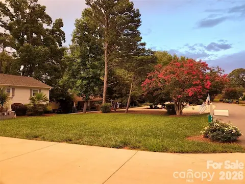 Crepe Myrtle blooms beauty