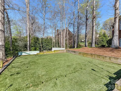 Large, flat area in the backyard