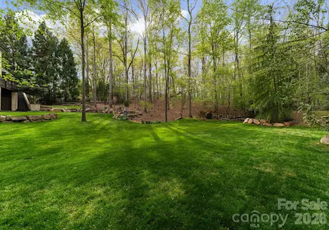 Expansive lower level of backyard surrounded by additional green space