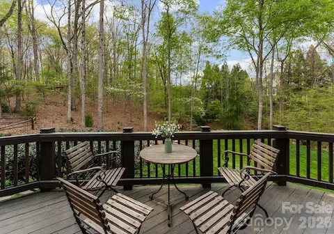 Deck overlooking private wooded back yard