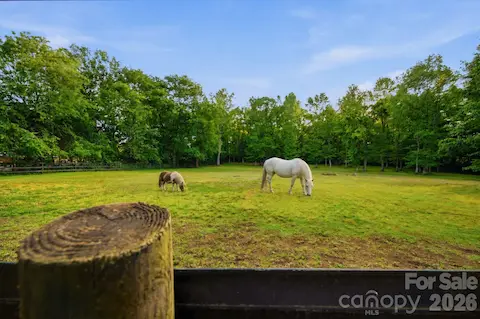 Latta Plantation next door offers miles of riding and hiking trails when the horses are done grazing at home.