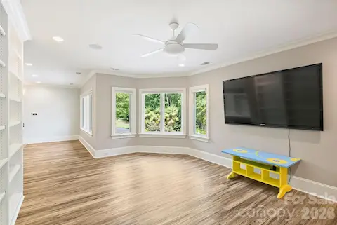 Bonus overlooking back yard