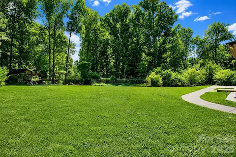 Huge backyard