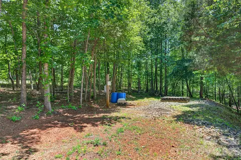 RV area with electric hookup (no sewer hookup)