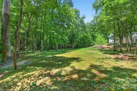 Backyard is fully private!  There's even a Treehouse back there.