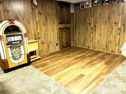 Rec Room + Dance floor