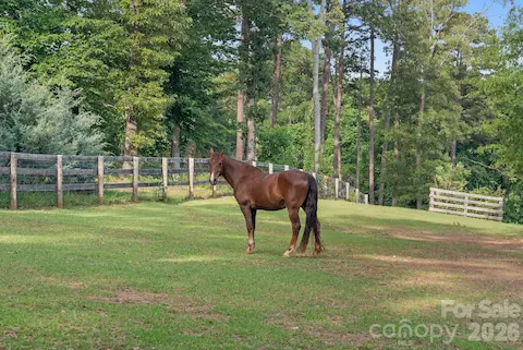 horses not included! :)