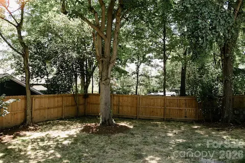 lovely backyard view