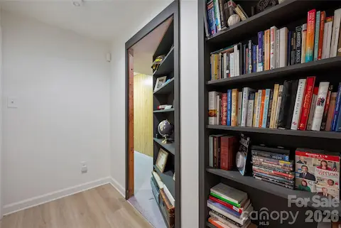 Hidden closet