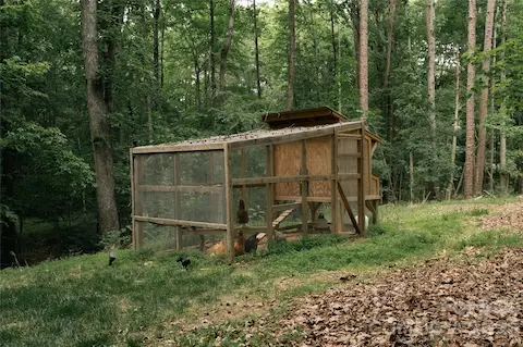 Custom built chicken coop
