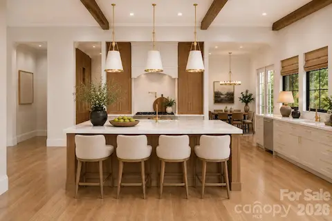 Kitchen - Conceptual Designs Render