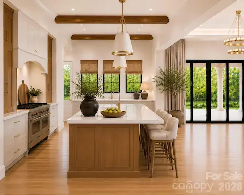 Kitchen - Conceptual Designs Render