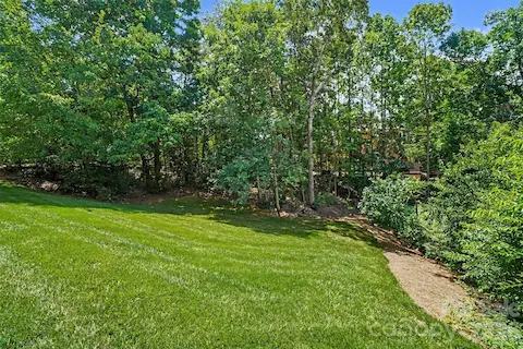 Privacy galore in the fenced backyard!