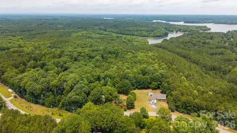 Dense forest with a healthy mix of hardwood and native pines