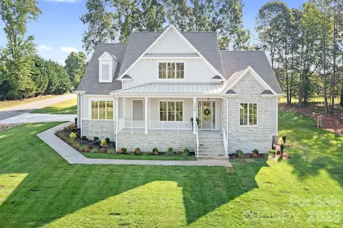 Great Lot!