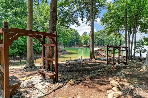 Nature walk in the back yard