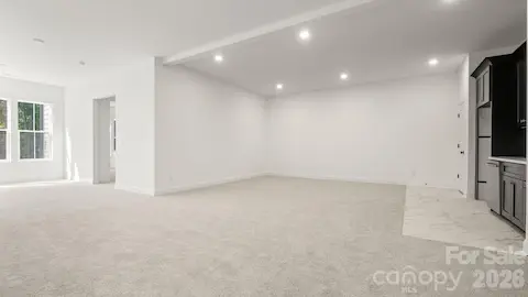 Basement  Kitchenette and living room space