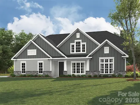 Elevation rendering only
