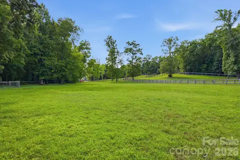 Lush board and Ramm Flex fenced pastures and paddocks