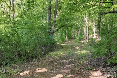 Enjoy a trail ride with neighbors or take your dogs on a walk in the shade