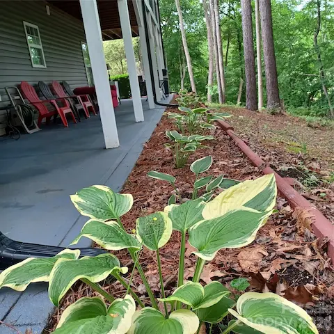 Lower patio