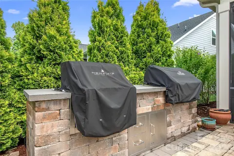 Gas Grill And Smoker