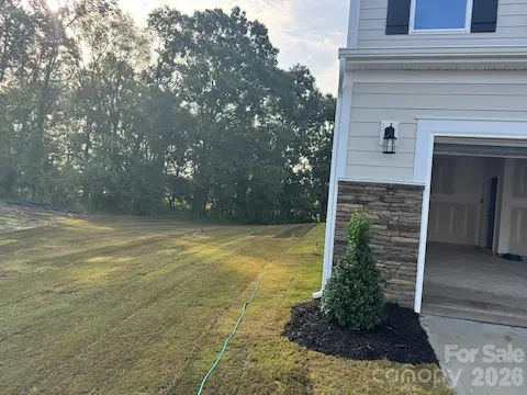 Side yard