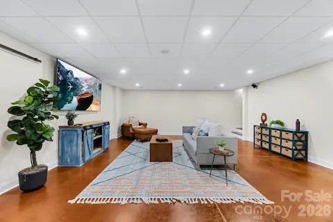 Basement living room