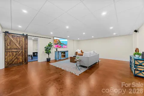 Basement living room