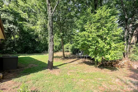 More yard space behind cottage