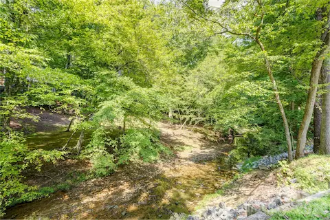 Stream in front yard